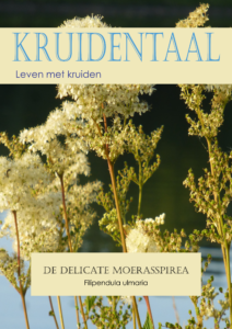 De delicate moerasaspirea door Kruidentaal.nl